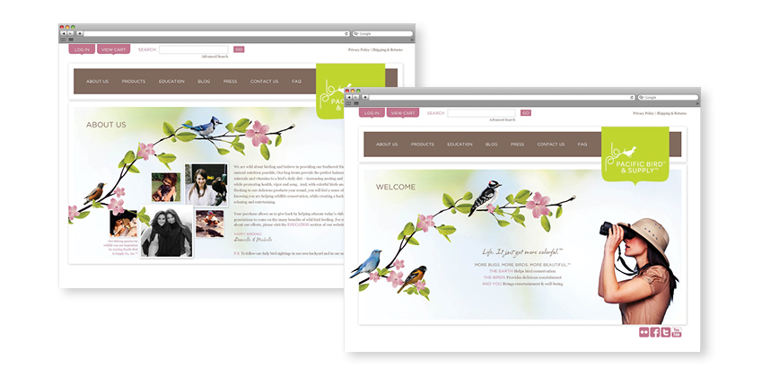 Website Website