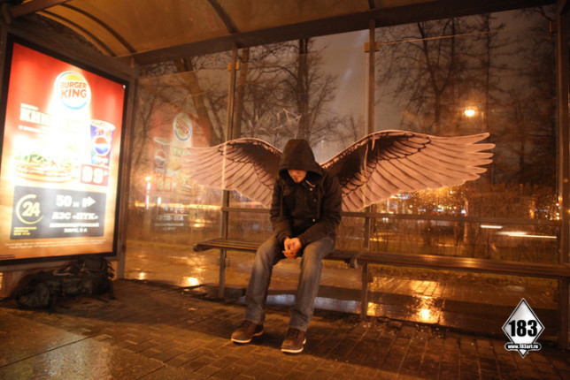 pasha-wings